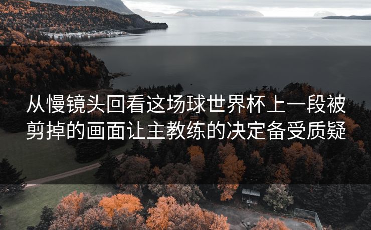 从慢镜头回看这场球世界杯上一段被剪掉的画面让主教练的决定备受质疑